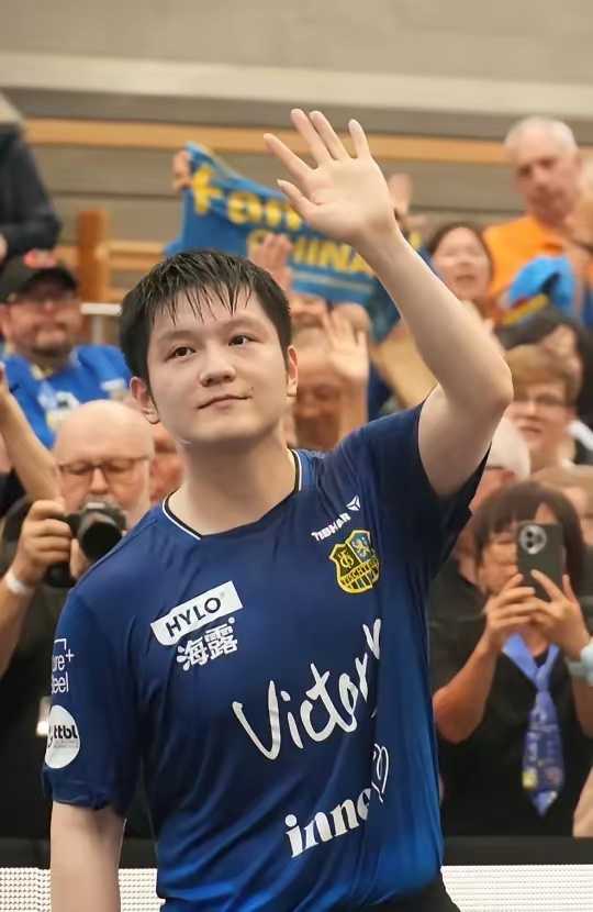 可谓凤毛麟 可谓凤毛麟