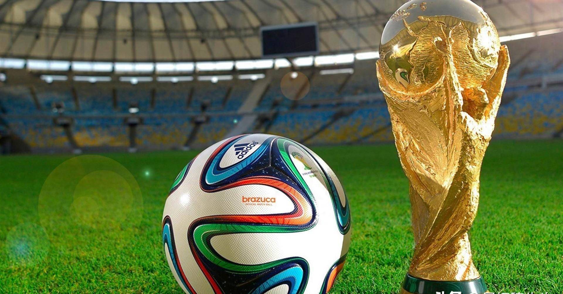 康意识的增 康意识的增