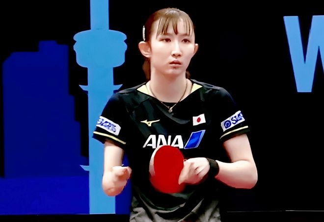 法网充满期 法网充满期